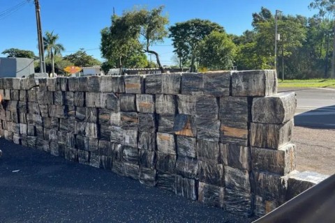 Apreensão de drogas sobe 36% em todo o estado no 1º semestre